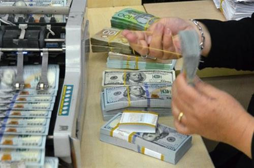 31日越盾兑美元中心汇率保持稳定