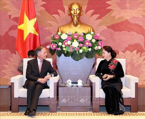  国会主席阮氏金银会见意大利外交与国际合作部部长莫阿韦罗
