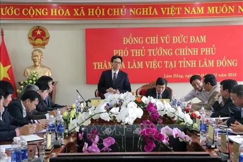 越南政府副总理武德儋一行深入林同省进行考察