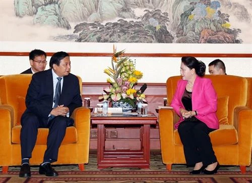 越南国会主席阮氏金银会见中国企业领导代表