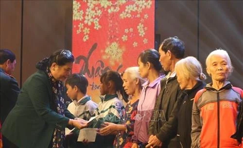 越南国会副主席丛氏放出席向困难群众“春节送温暖”活动