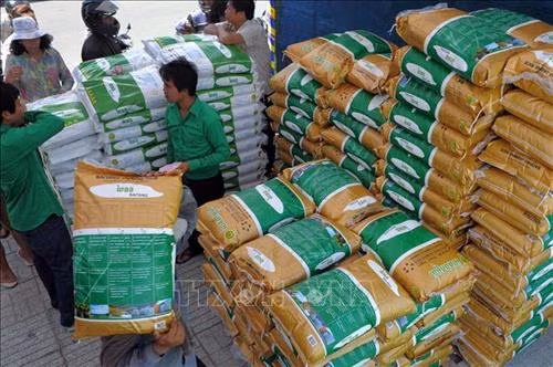 柬埔寨努力确保新冠肺炎期间粮食供应充足