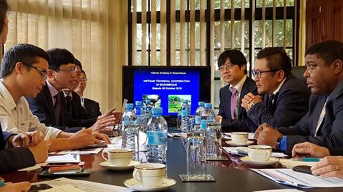 关于促进越日企业在莫桑比克的投资与合作的座谈会。图自越通社