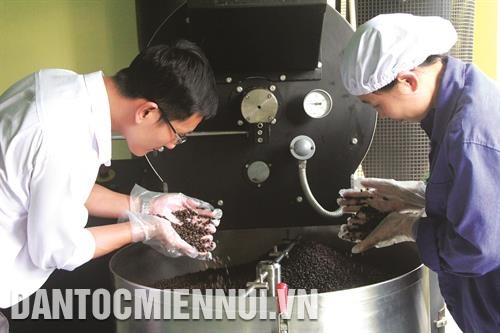 西原地区各省加强咖啡加工技术投资力度。记者 范强 摄 西原地区各省加强咖啡加工技术投资力度。记者 范强 摄