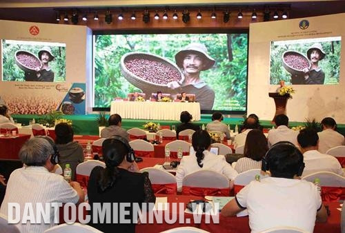 第七次邦美蜀咖啡节期间举行的越南特产咖啡发展研讨会。记者 俊英 摄 在咖啡节上展示的越南特产咖啡。记者 范强 摄