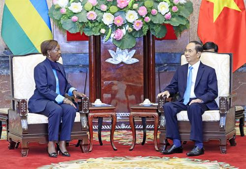 陈大光会见卢旺达外交部长路易丝·穆希基瓦博。越通社记者 颜创 摄