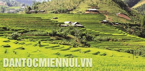 站奏县许多乡的蒙族人之前每年只种植一季水稻，目前同他们已会每年种两季水稻。