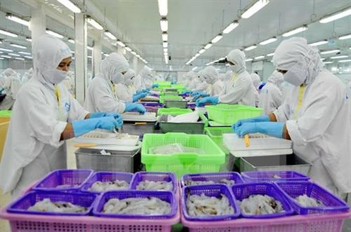 资料图:越南虾类产品出口。图自越通社 资料图:越南虾类产品出口。图自越通社