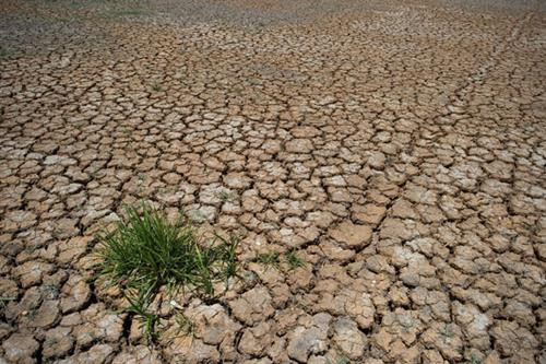 资料图：越南九龙江三角洲13个省市中的8个省份遭受严重的海水入侵。图自互联网