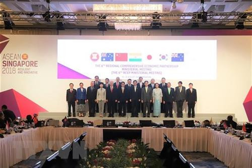参加东亚区域全面经济伙伴关系协定（RCEP）的16国商务部长已出席在新加坡举行的会议。图自越通社