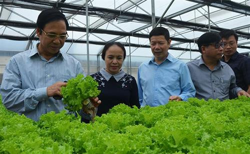 附图。图自互联网 附图。图自互联网