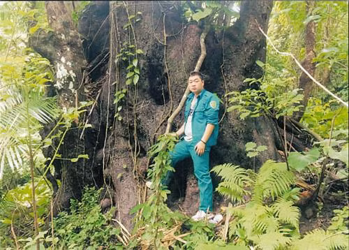 昆山岛国家公园古老树木。（图片来源：互联网）