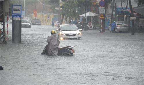 强降雨对岘港市造成巨大损失。图自越通社