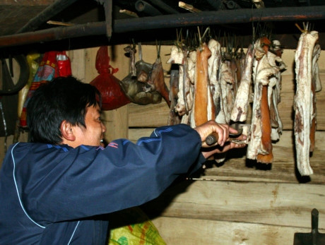 附图。(图片来源:因特网) 附图。(图片来源:因特网)