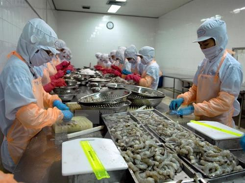 附图。图自因特网