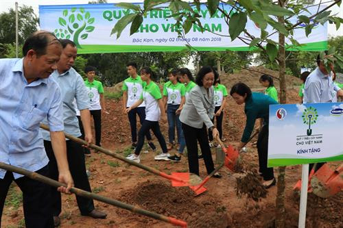 “越南一百万颗树基金”计划在北件省开展植树活动。(图片来源：越通社）