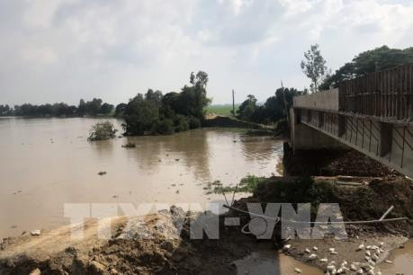 越南是20年来受灾最严重的6个国家之一。图自越通社 越南是20年来受灾最严重的6个国家之一。图自越通社