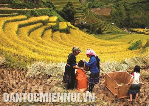 木江界梯田面积约500多公顷,集中在拉盼秦(La Pán Tẩn)、制句芽(Chế Cu Nha)、迪苏丰(Dế Su Phình)等乡。记者 俊英 摄 从高处俯瞰,木江界宛如一幅画,梯田从山脚层层叠叠,弯弯曲曲延伸,自然而然地走进人心。记者 俊英 摄 历代赫蒙族人的勤劳双手铸就了木江界一层层连绵不断的美丽梯田。记者 俊英 摄 木江界梯田面积约500多公顷,集中在拉盼秦(La Pán Tẩn)、制句芽(Chế Cu Nha)、迪苏丰(Dế Su Phình)等乡。记者 俊英 摄 从高处俯瞰,木江界宛如一幅画,梯田从山脚层层叠叠,弯弯曲曲延伸,自然而然地走进人心。记者 俊英 摄 历代赫蒙族人的勤劳双手铸就了木江界一层层连绵不断的美丽梯田。记者 俊英 摄