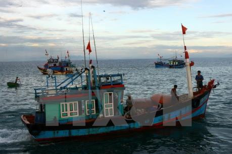 附图。(图片来源:越通社) 附图。(图片来源:越通社)