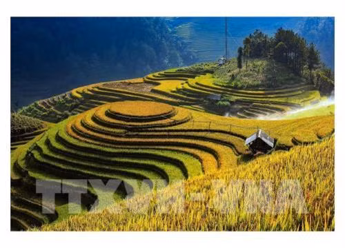 木江界梯田美景。图自越通社