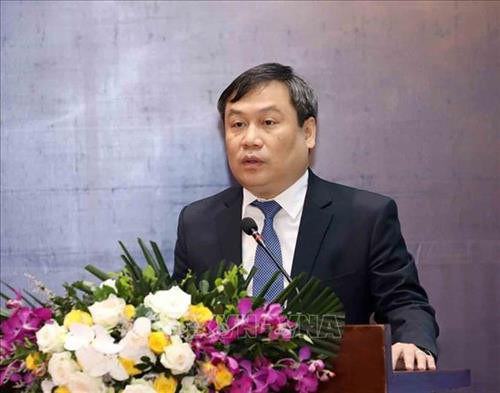 计划与投资部副部长武大胜在研讨会上发表讲话。图自越通社