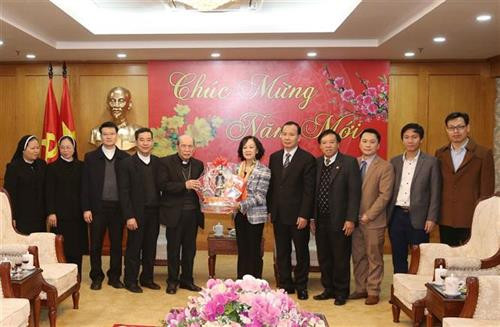 各代表合影。图自越通社