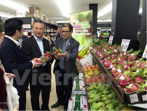 越南驻澳大利亚大使吴向南参观越南火龙果展位。（图片来源：越通社）