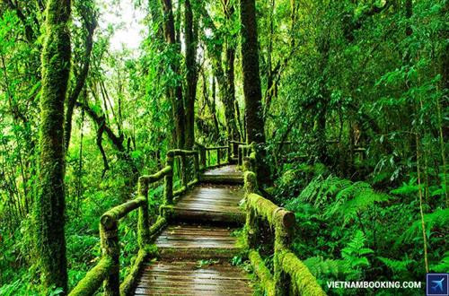 清迈的旅游景点。（图片来源：vietnambooking.com)