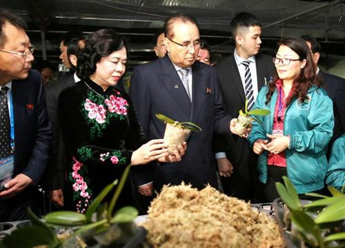 朝鲜劳动党代表团参观丹淮合作社兰花种植模式。图自因特网