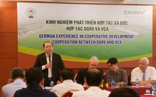 越南合作社联盟主席阮玉宝发表讲话。图自因特网