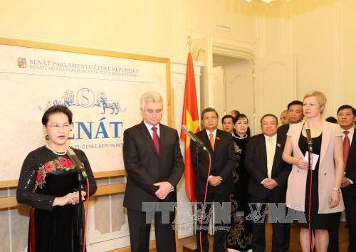 越南国会主席阮氏金银与捷克参议院主席米兰·什捷赫举行会谈后共同会见记者。（图片来源：越通社）