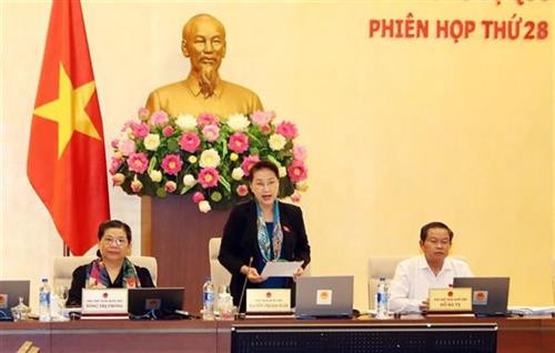 越南国会主席阮氏金银在会议上发言。图自越通社