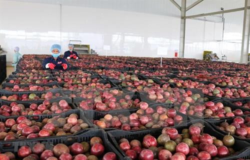 资料图。图自越通社 资料图。图自越通社