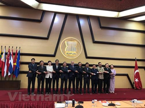 参加东盟—土耳其联合合作委员会第2次会议的代表们。图自越通社