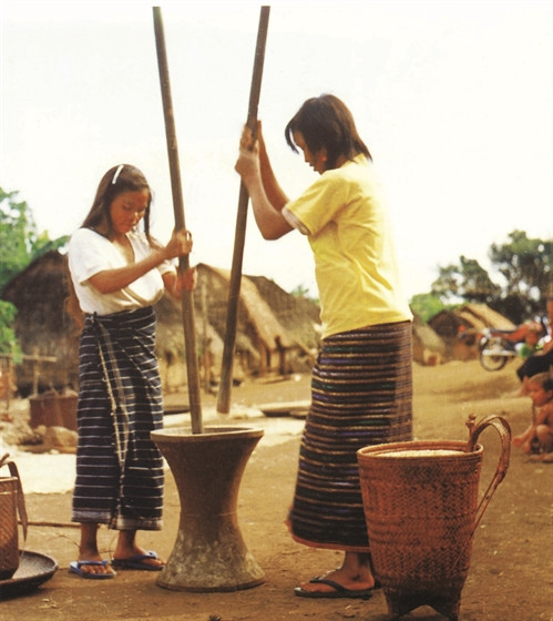 戈豪族女人在舂米。