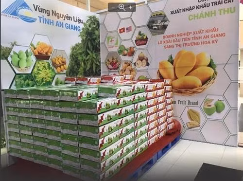安江省首批芒果对美国出口。图自https://congthuong.vn