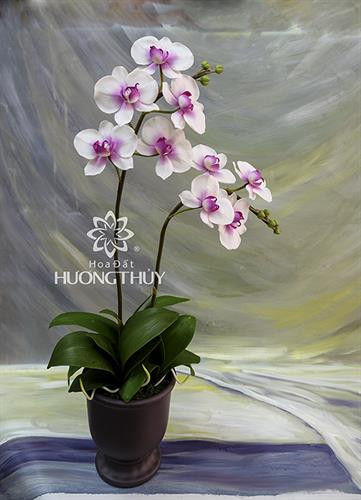 黏土花作品“兰花”。（图片来源： http://huongthuy.vn/）