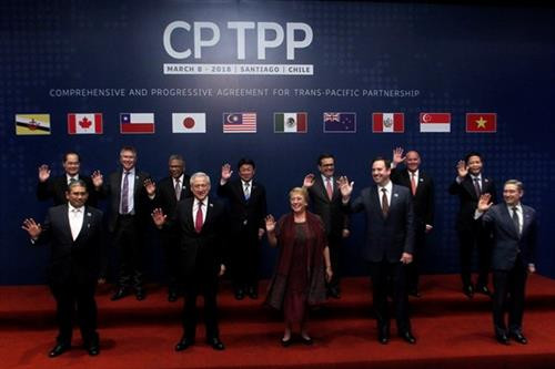 越南工贸部部长陈俊英（第二行右一）与CPTPP其他10个缔约国代表3月8日在新加坡合影。（图片来源：越通社）
