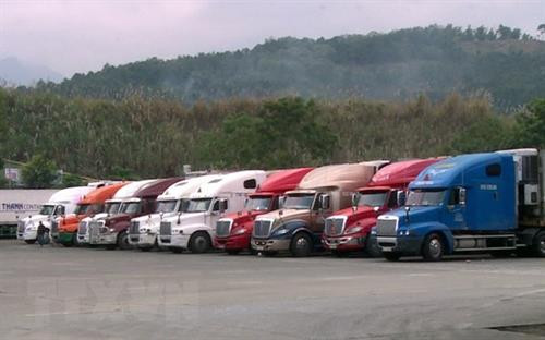 受疫情影响越南出口企业主动采取对中国市场的进出口措施。图自越通社