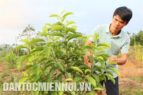 为了消除 “依赖”和 “甘愿贫穷”的想法，基层当局在开展减贫活动过程中以青年队伍为核心力量。记者 文德 摄