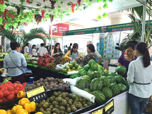 附图(图片来源:越通社) 附图(图片来源:越通社)