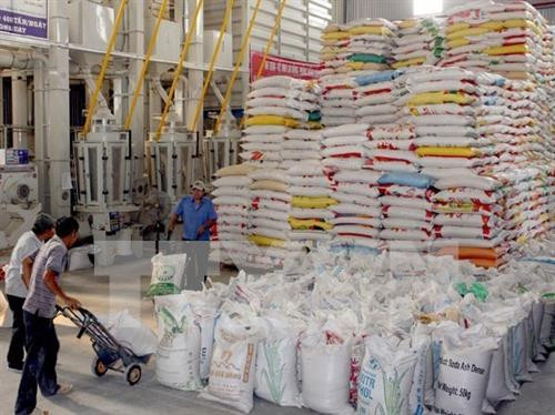越南大米出口猛增。图自越通社 越南大米出口猛增。图自越通社