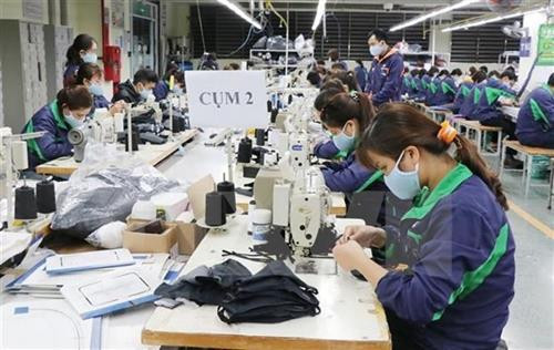 附图。图自越通社