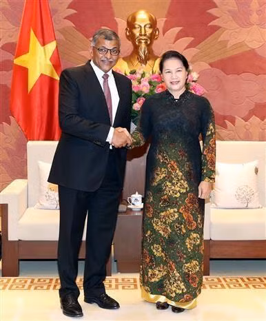 越南国会主席阮氏金银会见新加坡首席大法官 图自越通社