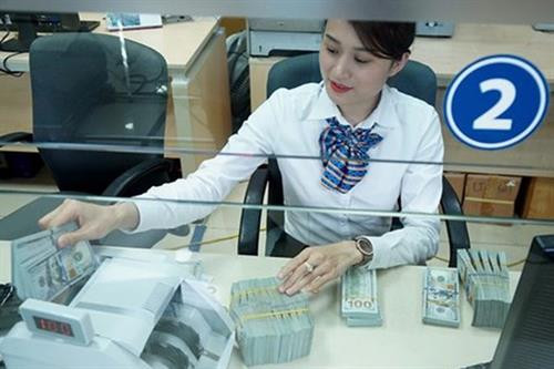 附图 图自越通社