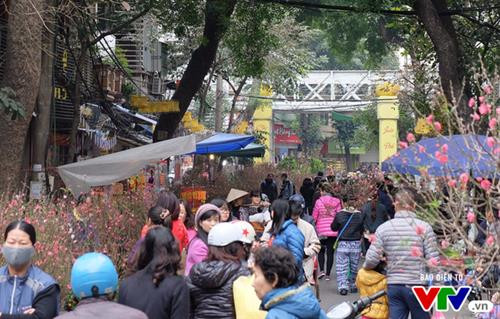 河内将举办63个迎新春鲜花集市。（图片来源：http://vtv.vn）