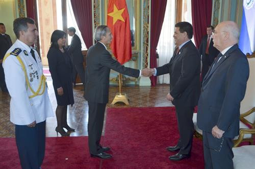 越南新任驻巴拉圭大使邓春勇和巴拉圭总统奥拉西奥•卡特斯递交国书。（图片来源：http://baoquocte.vn）