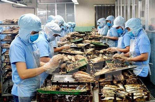 资料图：越南水产加工 图自越通社