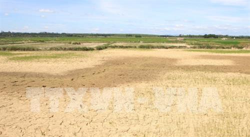 2019年4月底至今,中部和西原地区出现大范围持续性晴热高温天气。图自越通社 2019年4月底至今,中部和西原地区出现大范围持续性晴热高温天气。图自越通社