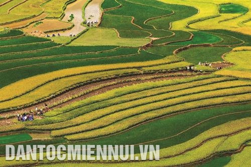 木江界梯田面积约500多公顷,集中在拉盼秦(La Pán Tẩn)、制句芽(Chế Cu Nha)、迪苏丰(Dế Su Phình)等乡。记者 俊英 摄 从高处俯瞰,木江界宛如一幅画,梯田从山脚层层叠叠,弯弯曲曲延伸,自然而然地走进人心。记者 俊英 摄 历代赫蒙族人的勤劳双手铸就了木江界一层层连绵不断的美丽梯田。记者 俊英 摄 木江界梯田面积约500多公顷,集中在拉盼秦(La Pán Tẩn)、制句芽(Chế Cu Nha)、迪苏丰(Dế Su Phình)等乡。记者 俊英 摄 从高处俯瞰,木江界宛如一幅画,梯田从山脚层层叠叠,弯弯曲曲延伸,自然而然地走进人心。记者 俊英 摄 历代赫蒙族人的勤劳双手铸就了木江界一层层连绵不断的美丽梯田。记者 俊英 摄